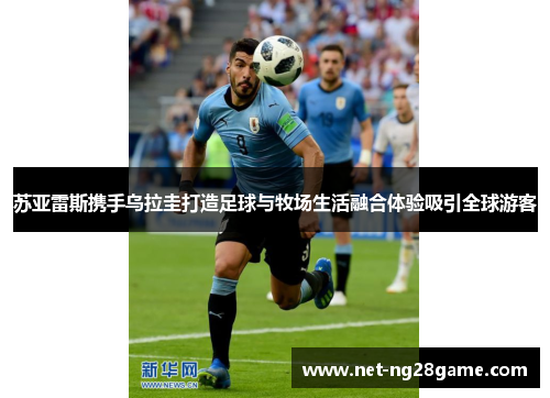 苏亚雷斯携手乌拉圭打造足球与牧场生活融合体验吸引全球游客