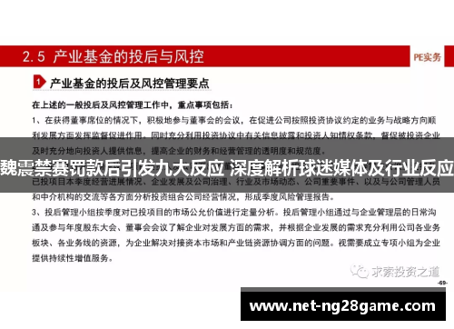 魏震禁赛罚款后引发九大反应 深度解析球迷媒体及行业反应